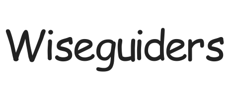 wiseguiders.com
